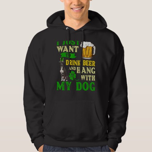 I Just Want To Drink Beer And Hang With My America Hoodie