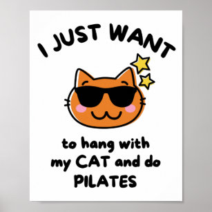 I just want to hang with my cat and do pilates. poster