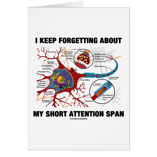 I Keep Forgetting About My Short Attention Span Cards (Front)