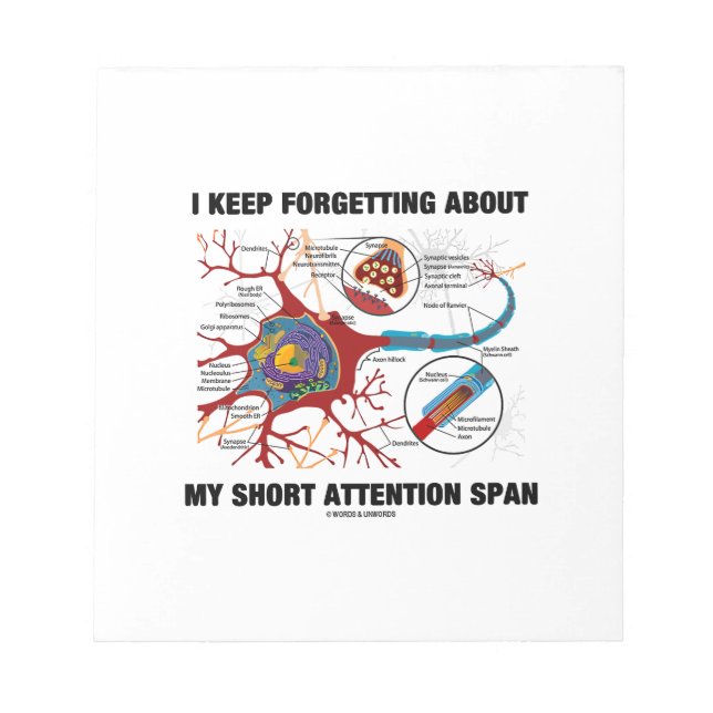 I Keep Forgetting About My Short Attention Span Notepad (Front)