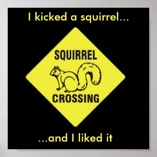 I kicked a squirrel poster