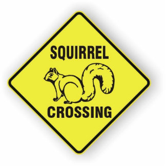 I kicked a squirrel sculpture