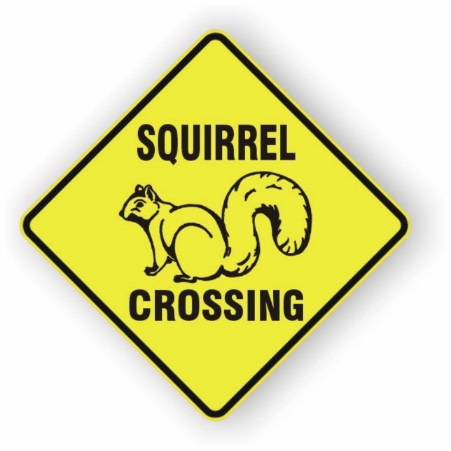 I kicked a squirrel sculpture (Front)