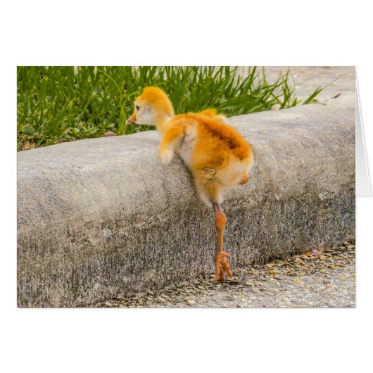 I know i can. I know i can (Front Horizontal)