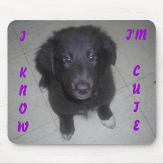 I KNOW I'M CUTE PUPPY MOUSE PAD