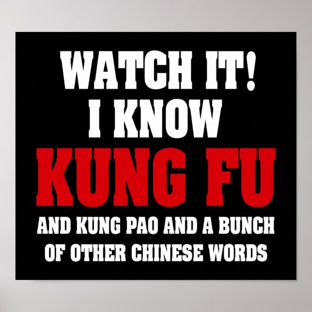 I Know Kung Fu and Kung Pao - Funny Martial Arts Poster (Front)