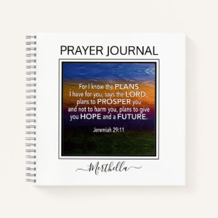 I KNOW THE PLANS Jeremiah 29 Prayer Journal