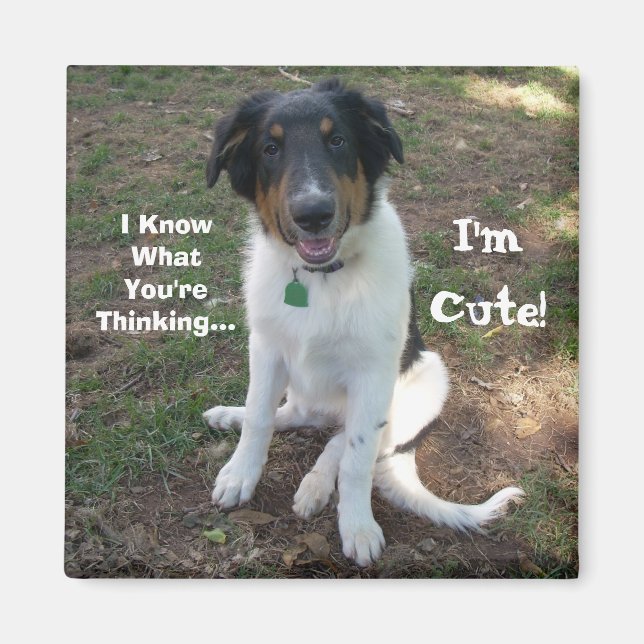 I Know What You're Thinking..., I'm Cute! Magnet (Front)