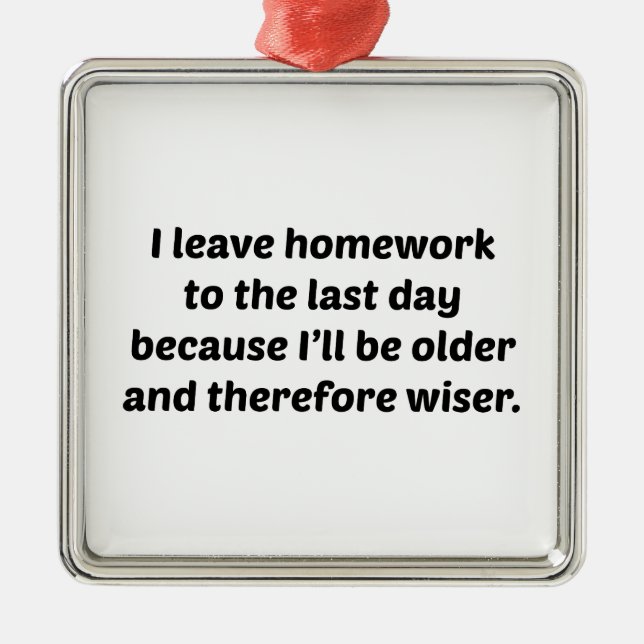 I Leave Homework To The Last Day Metal Ornament (Front)