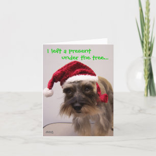 I left present... holiday card