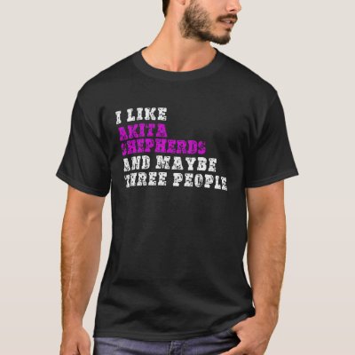 I Like Akita Shepherds  And Maybe Three People  Ak T-Shirt