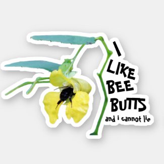 I Like Bee Butts and I Cannot Lie Sticker