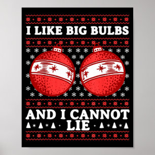 I Like Big Bulbs And I Cannot Lie Funny Christmas Poster