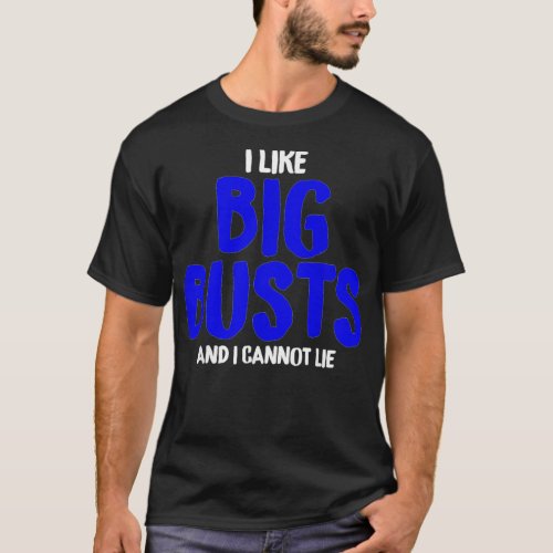 I Like Big Busts And I Cannot Lie Sarcastic Police T_Shirt