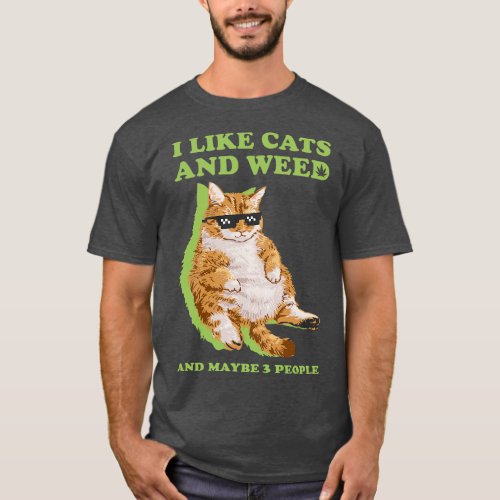 I like cats and and maybe 3 people T_Shirt