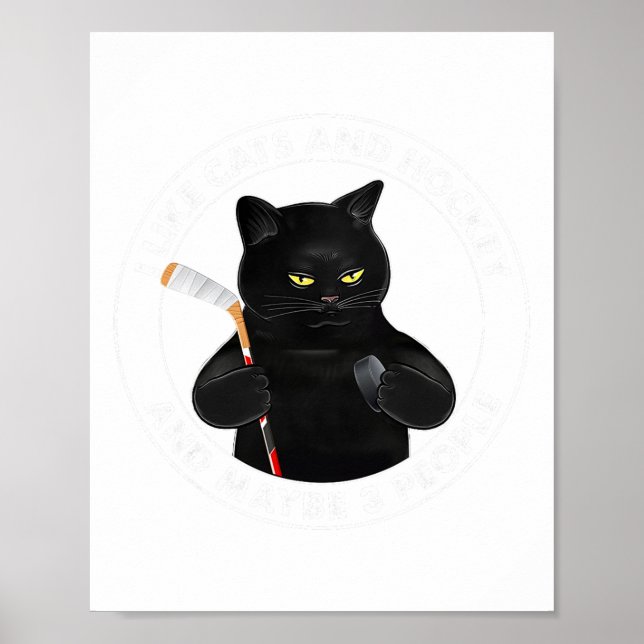 I Like Cats And Hockey And Maybe 3 People Funny Bl Poster (Front)