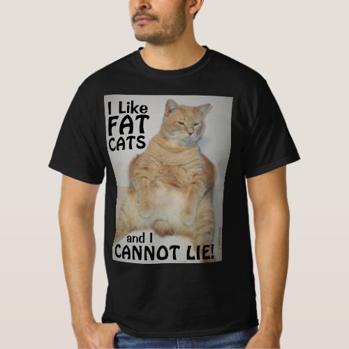I Like Fat Cats and I Cannot Lie Funny T Shirt