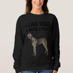 I Like Irish Wolfhound Dogs And Maybe 3 People Sweatshirt