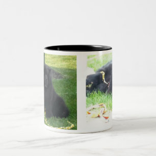 I Like my Chows & Coffee Black Two-Tone Coffee Mug