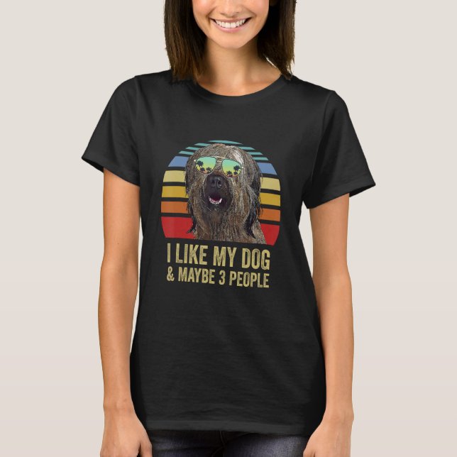 I Like My Dog and Maybe 3 People  Briard T-Shirt (Front)