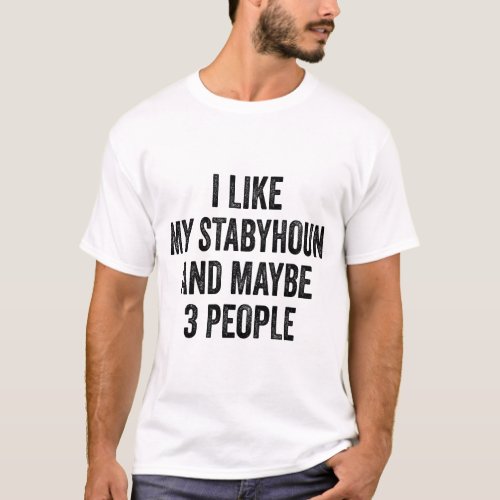 I Like my Stabyhoun And Maybe 3 People T_Shirt
