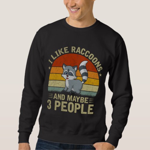 I Like Raccoons and Maybe 3 People Cool Raccoon Lo Sweatshirt