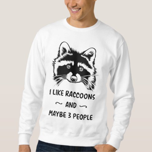 I Like Raccoons And Maybe 3 People Cute Raccoon Lo Sweatshirt