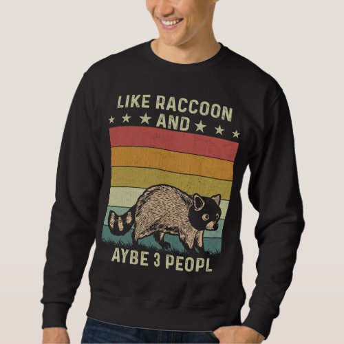 I Like Raccoons and Maybe 3 People Retro 60s 70s R Sweatshirt