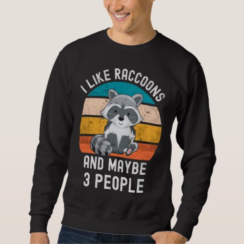 I Like Raccoons And Maybe 3 People Vintage Retro R Sweatshirt