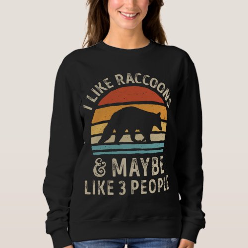 I Like Raccoons And Maybe Like 3 People Raccoon Lo Sweatshirt