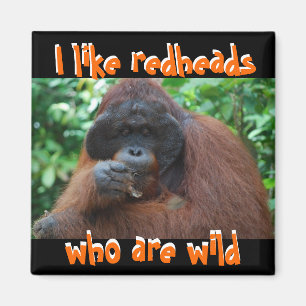 I Like Real Wild Redheads Magnet