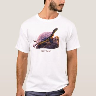 I Like sunny Day, Turtle sunning