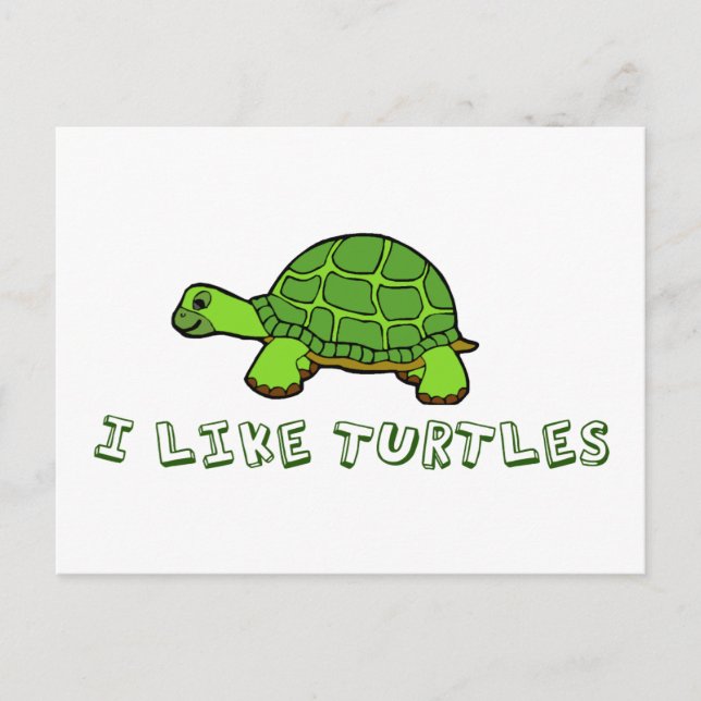 I Like Turtles Cute Postcard (Front)