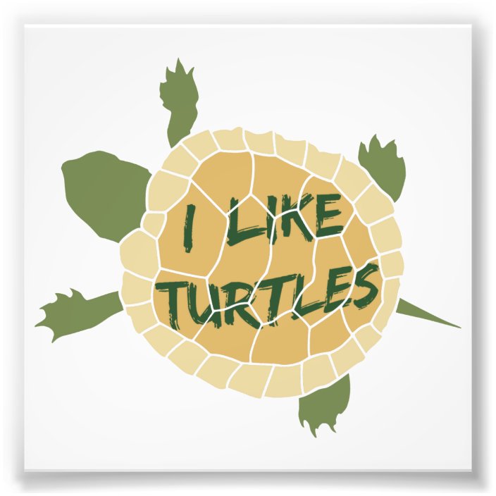 I Like Turtles Photo Print | Zazzle.com