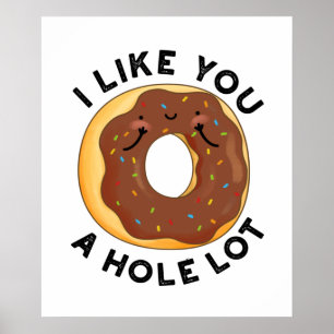 I Like You A Hole Lot Funny Donut Pun Poster