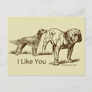 I Like You Dog Humor Postcard