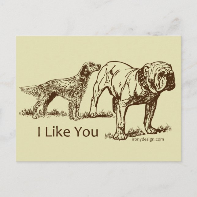 I Like You Dog Humor Postcard (Front)