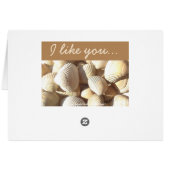 I like you Sea Shells Summer Tropical Exotic Beach (Back Horizontal)