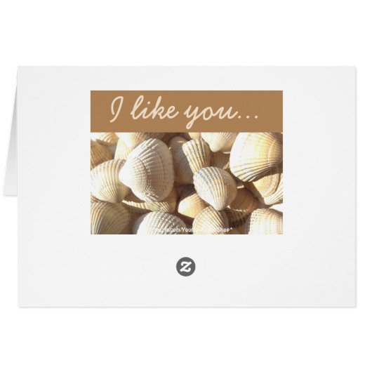 I like you Sea Shells Summer Tropical Exotic Beach (Back Horizontal)