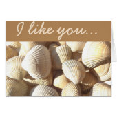 I like you Sea Shells Summer Tropical Exotic Beach (Front Horizontal)