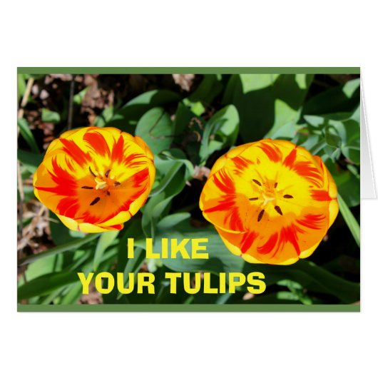 I Like Your Tulips Next To Mine! Cards (Front Horizontal)