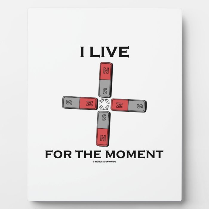 I Live For The Moment (Magnetic Quadrupole Moment) Plaques