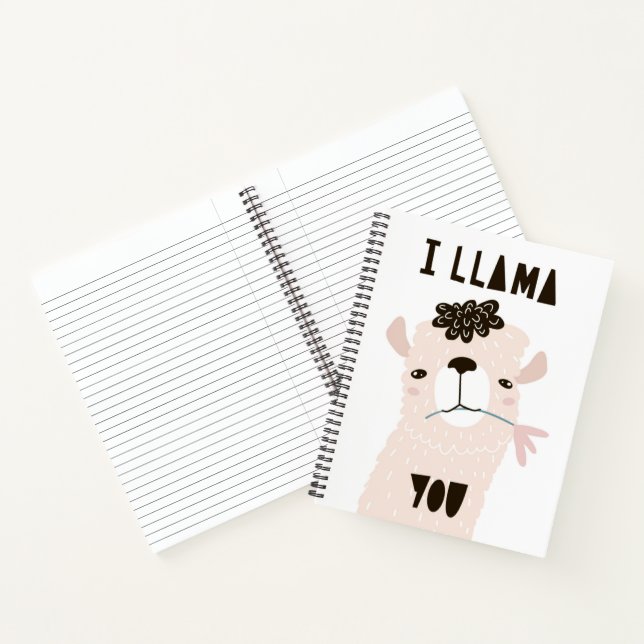 I Llama You Notebook (Inside)