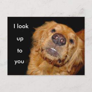 I look up to you postcard
