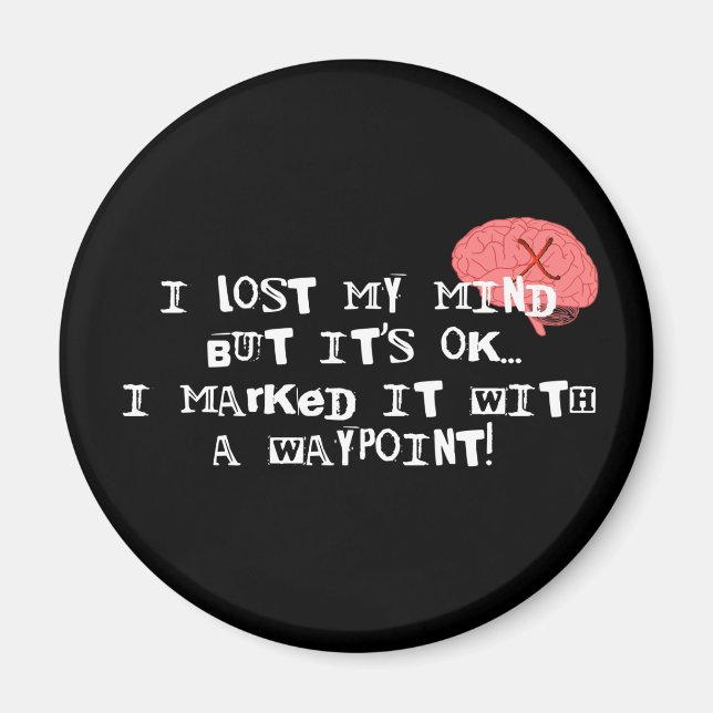 I Lost My Mind! Magnet (Front)
