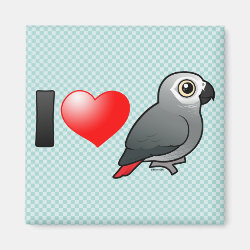 I Love African Grey Parrots Square Magnet