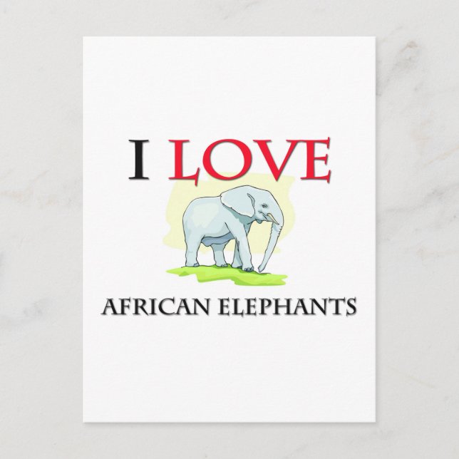I Love African Elephants Postcard (Front)