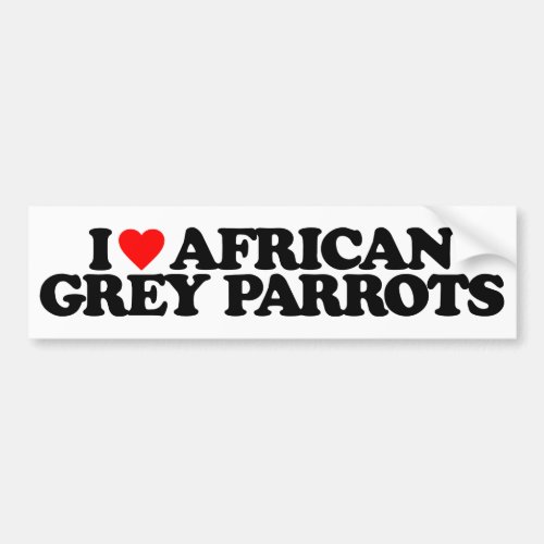 I LOVE AFRICAN GREY PARROTS BUMPER STICKER