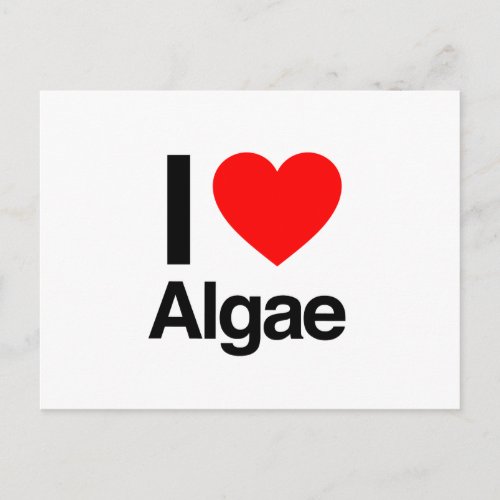 i love algae postcard