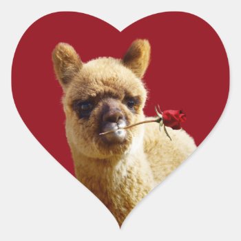 I Love Alpacas Heart Stickers For Animal Lovers by WalnutCreekAlpacas at Zazzle